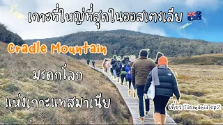 เกาะที่ใหญ่ที่สุดในออสเตรเลียCradle Mountain |เที่ยวTasmania ep2