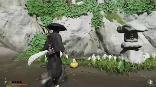 Ghost of Tsushima : Marsh Rock Shrine