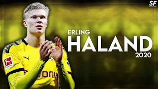 Erling Haaland 2019/2020 ● Skills & Goals ᴴᴰ