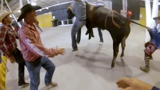 Angry bull escapes into crowd and drags rodeo bullfighters