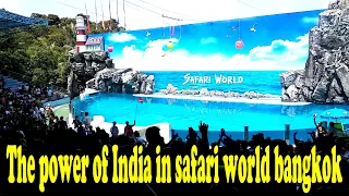Dancing indian people with Bollywood song - safari world bangkok (Thailand) - Full HD