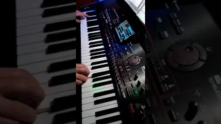 Je T'aime Moi Non Plus - (J. Birkin et S. Gainsbourg) . on Korg Pa4x - by Corrado