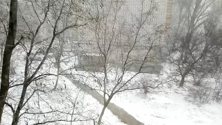 Штормовой ветер в Бердянске, 60 км/час, 27.02.18