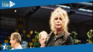 Héritage de Johnny Hallyday : Brigitte Bardot est "dégoûtée"