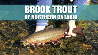 Backcountry Brook Trout | Rivers of James Bay Watershed