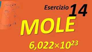 Calcolo della MOLE esercizio risolto 14