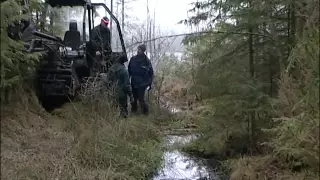 Kraftsamling skog Dikesrensa och Skyddsdika Del 1:2