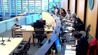 Seattle City Council Select Budget Committee 10/30/19 Session I