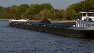 Rhenus Pater läuft trocken: Niedrigwasser auf dem Rhein schadet der Binnenschifffahrt