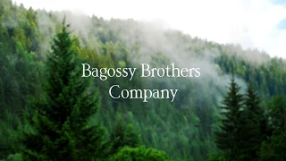 Bagossy Brothers Company - Visszajövök [Lyrcs/Dalszöveg]
