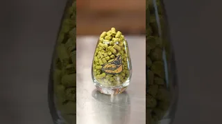 How to Make Beer