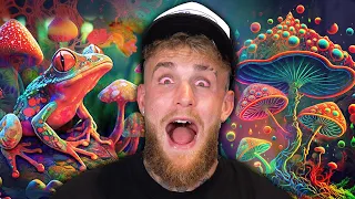 Jake Paul Details What Doing Toad Venom & Ayahuasca is like...