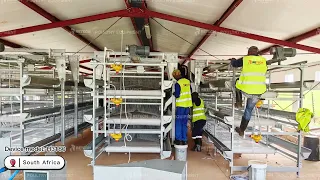 H Type Layer Chicken Cage Installation , Customer Projects in South Africa - RETECH Farming