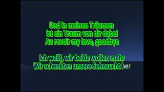 Goodbye my Love - Peter Alexander & Mireille Mathieu   Karaoke (CD+G)