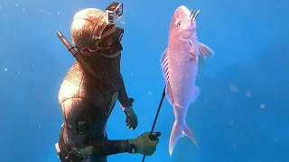 Camping Mish for Fish!! - Spearfishing Hawaii