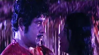 എക്കാലവും മറക്കാത്ത മധു ശ്രീവിദ്യ പ്രണയരംഗം | Sreevidya Madhu Scenes | Malayalam Love Scene