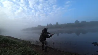 УШЁЛ В ТАЙГУ, ЗА ЕДОЙ ДЛЯ ВСЕЙ СЕМЬИ! ЗАКИНУЛ НА ДУРАКА И ЕСТЬ  ГРИБЫ НА БЕРЕГУ РЕКИ, ОДИН НА РЕКЕ!