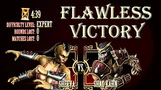 ЧИСТАЯ ПОБЕДА/ ШИВА VS ШАО КАН/ ЭКСПЕРТ/ МОРТАЛ КОМБАТ 9/ FLAWLESS VICTORY/ SHEEVA VS SHAO KAHN