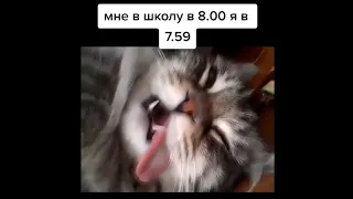 вкинулся и откинулся - подборка из тик ток