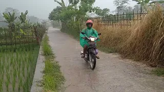 walking heavy rain || indonesian village