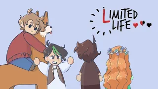 Grian AFK || Limited Life SMP || animatic video