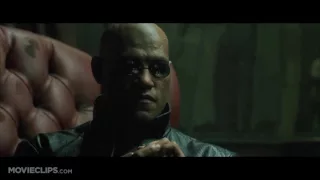 Blue Pill or Red Pill   The Matrix 2 9 Movie CLIP 1999 HD   YouTube