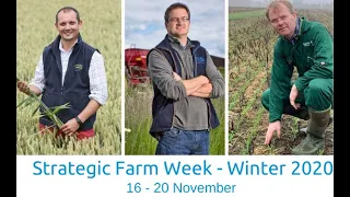 Ask the researcher session - AHDB Strategic Farm Week – Winter 2020