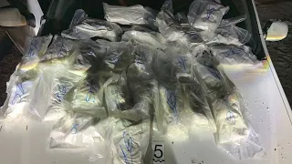 Мурманские полицейские пресекли поставку в регион крупной партии наркотиков