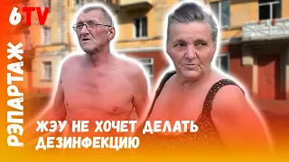 Трупный яд угрожает жителям дома на Менжинке / Трупны яд пагражае жыхарам дома на Мянжінке