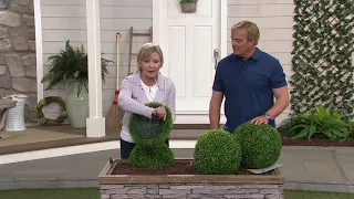 Barbara King Faux Boxwood Topiary Sphere on QVC