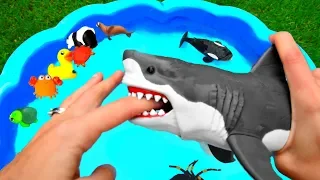 Sea Animal Fish Toys - Learn Sea Animal Names