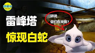 雷峰塔挖出佛祖舍利，佛教宝物镇压蛇妖？专家发现巨大地宫！