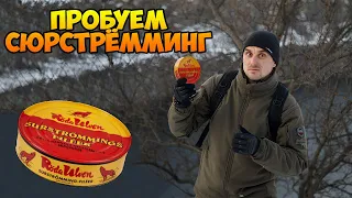 Пробуем сюрстрёмминг! это ЖЕСТЬ! surströmming шведский национальный деликатес