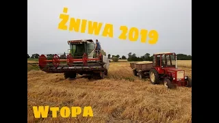 Żniwa 2019 /Claas Dominator 108/Ursus 360/T-25 !!!