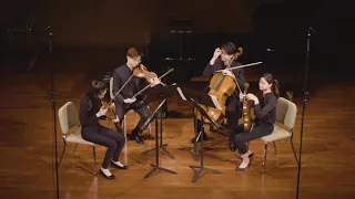 Dvorak String Quartet No.10 op.51 in E Flat Major 2nd and 4th movement , Rivendell Quartet