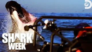Top 5 Bite Moments from Shark Week 2018 | Shark Week Rewind: 50 Best Bites | Discovery