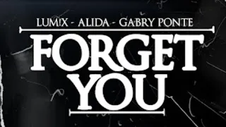 LUM!X x Alida x Gabry Ponte - Forget You (Official Audio)