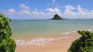 Hawaii Beaches - Oahu - 90 Minute Nature Relaxation - Video Décor