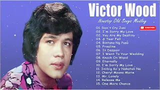 Victor Wood Nonstop Old Songs 2024 💖 Victor Wood Greatest Hits Full Album 💖 #trending #victorwood