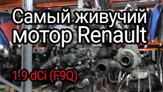 Reliable or not? We analyze all the problems of a diesel engine Renault 1.9 dCi (F9Q). Subtitles!