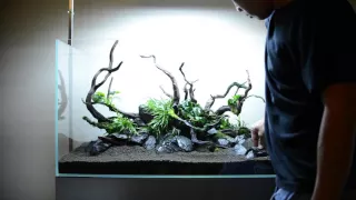 Step by step aquascape time lapse: Aqueous Reflection 90cm Aquavas