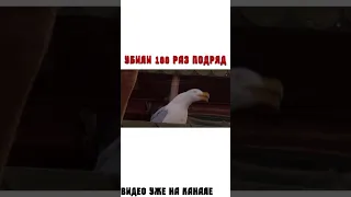 Ору как чайка !