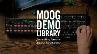 Moog Mavis | How to Use the LFO as a Second Oscillator