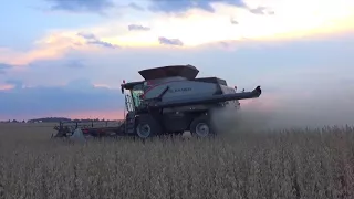 2017 Soybean Harvest  - Jeffersonville Ohio