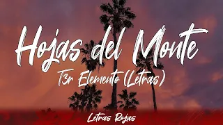 T3r Elemento - Hojas del Monte (Lyrics/Letra) | Wing Lyrics