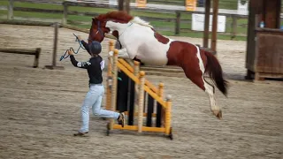 Wyeth’s Winning Freestyle | 2019 Georgia TIP Challenge