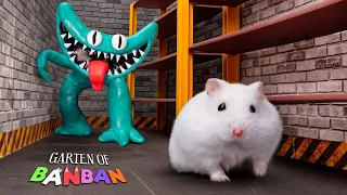 Hamster Escape From Cyan Monster In Garten Of Ban Ban 🐹 Hamster Maze In Real Life