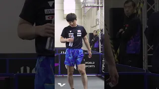 In The Training Hall: Darko vs Harimoto #WTTMacao #Shorts