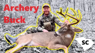 Big South Carolina Buck - Late November Archery Hunt