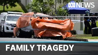 Mother fights for life after man, 3 children die in deliberate car fire in Brisbane  | ABC News